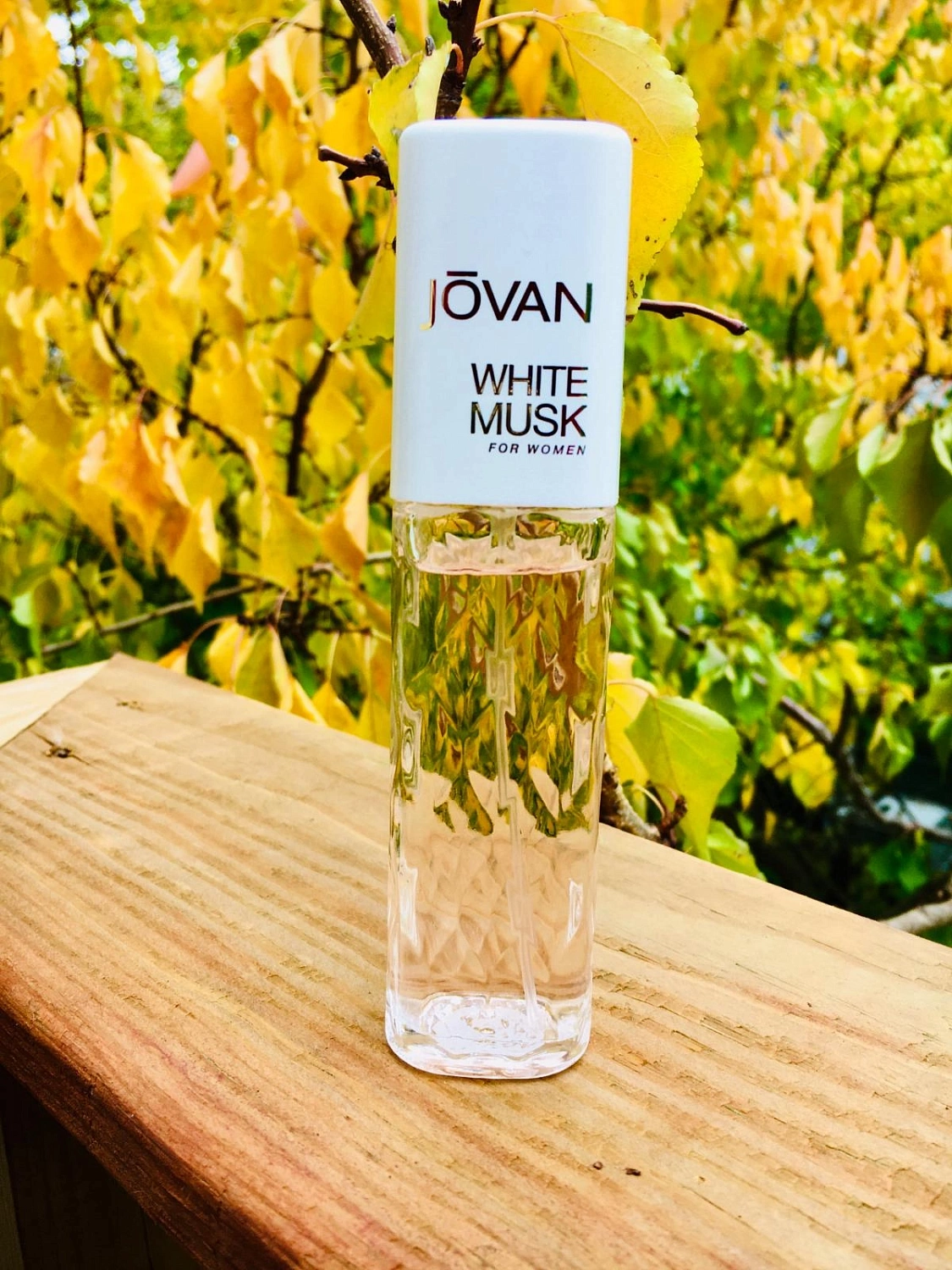 Jovan White Musk