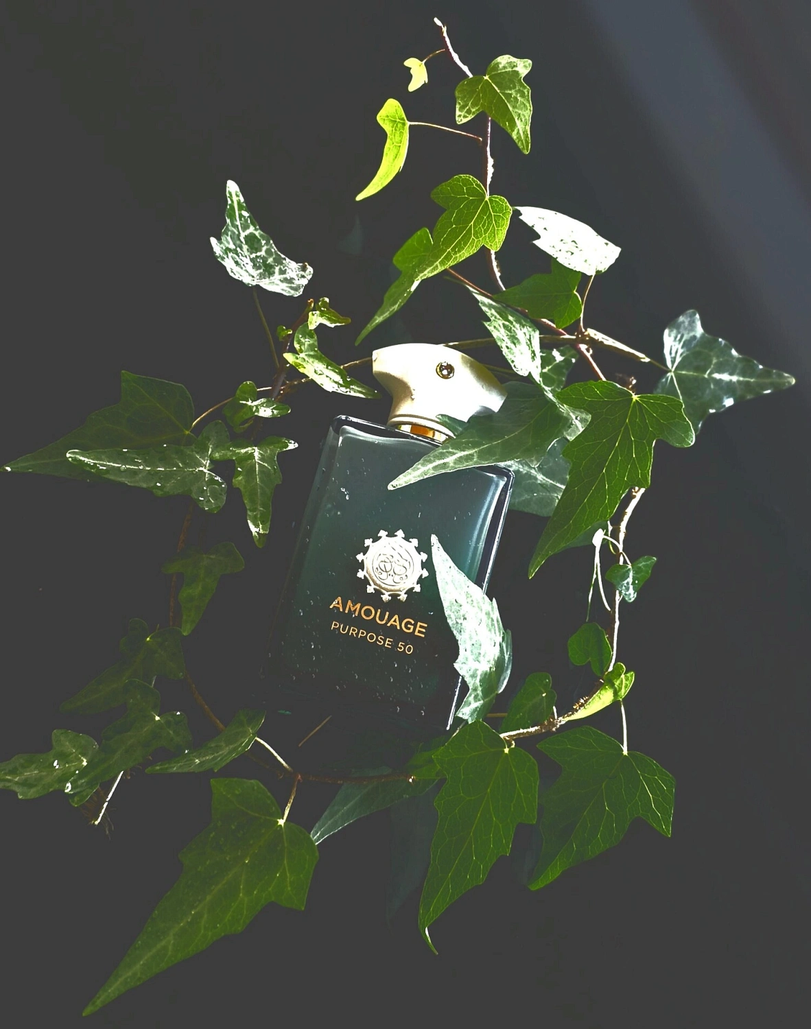 Amouage Purpose 50