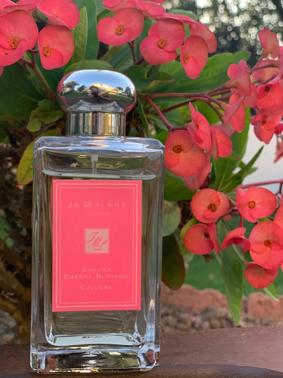 Jo Malone Sakura Cherry Blossom