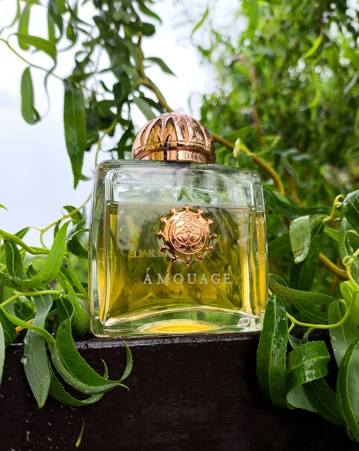 Amouage Dia Woman