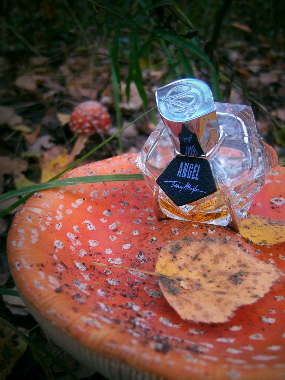 Mugler Angel Les Parfums de Cuir