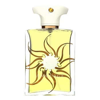 Amouage Sunshine Man парфюмерная вода 100 мл тестер