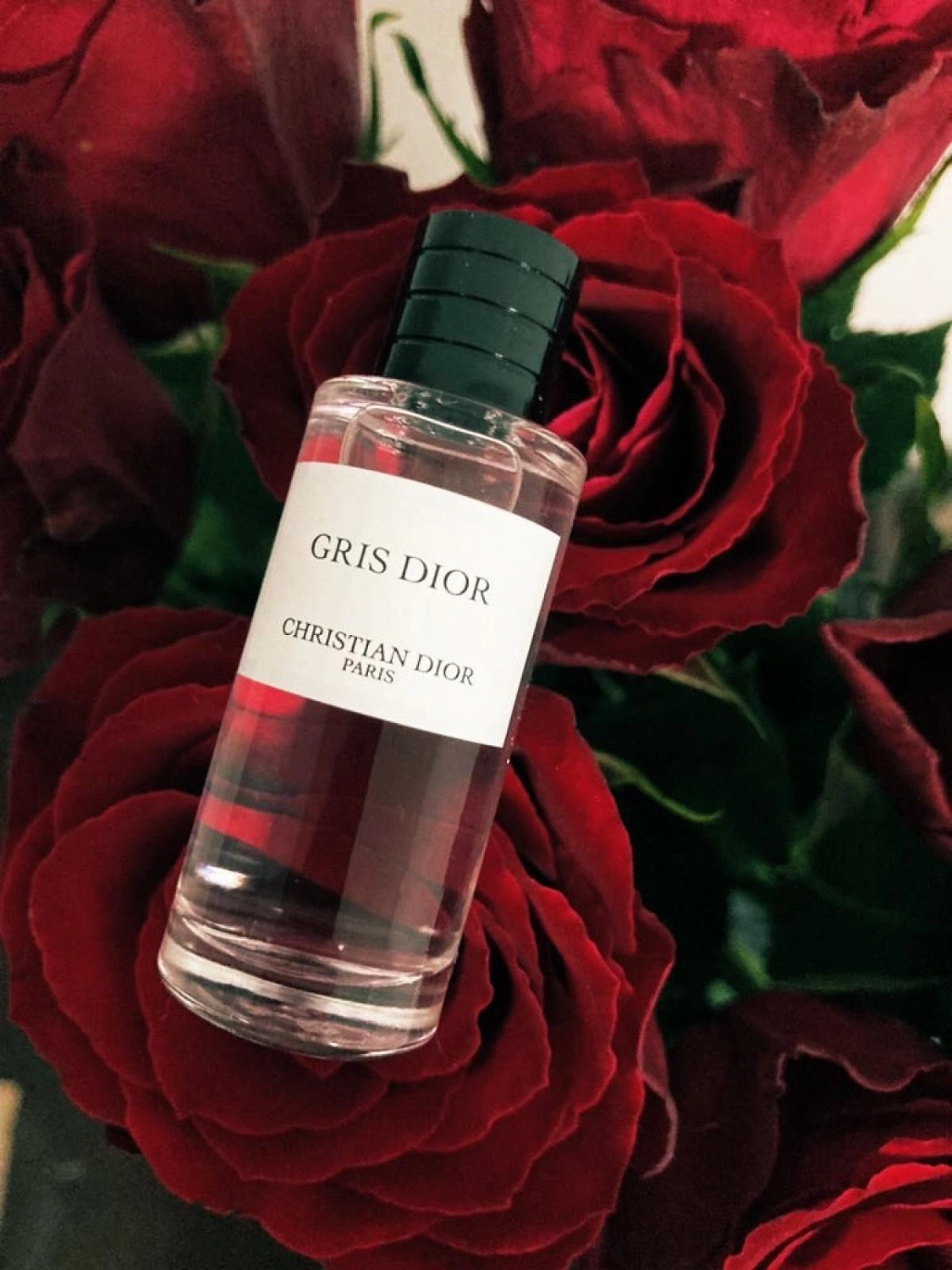 Christian Dior Gris Dior