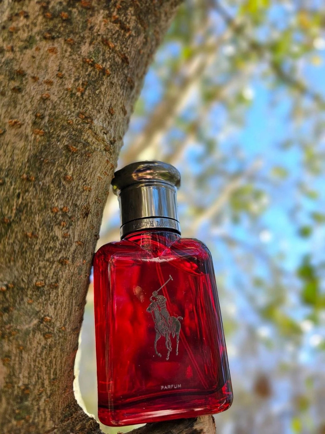 Ralph Lauren Polo Red Parfum