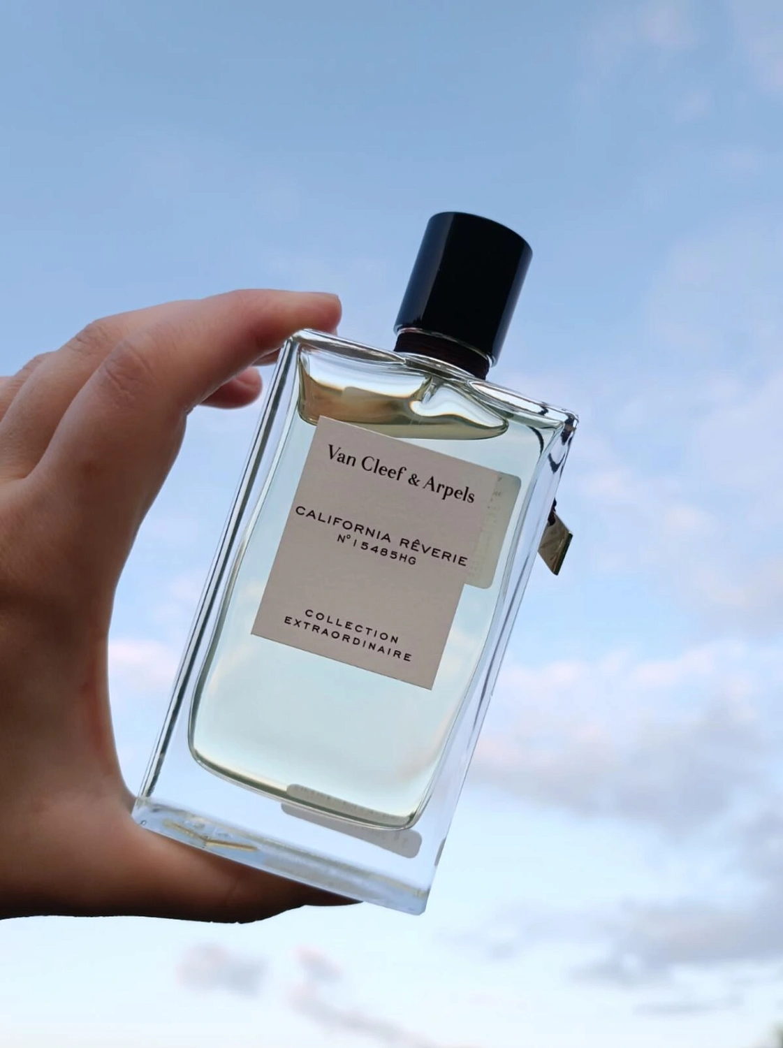 Van Cleef & Arpels Collection Extraordinaire California Reverie