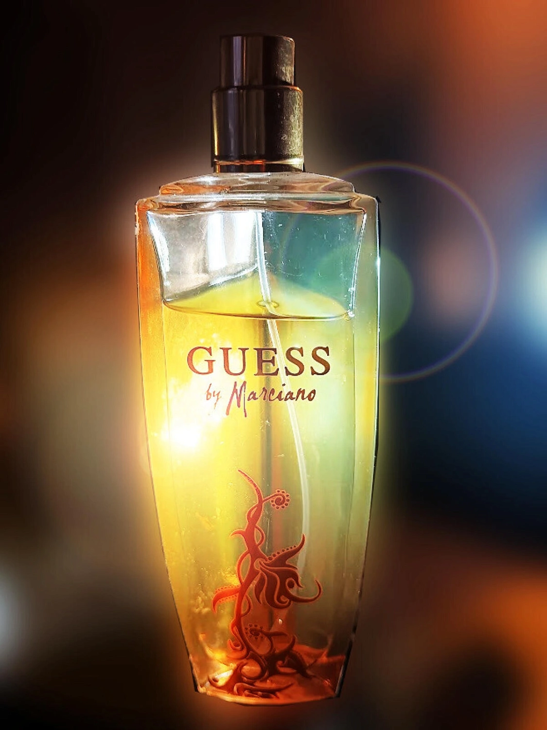GUESS by Marciano