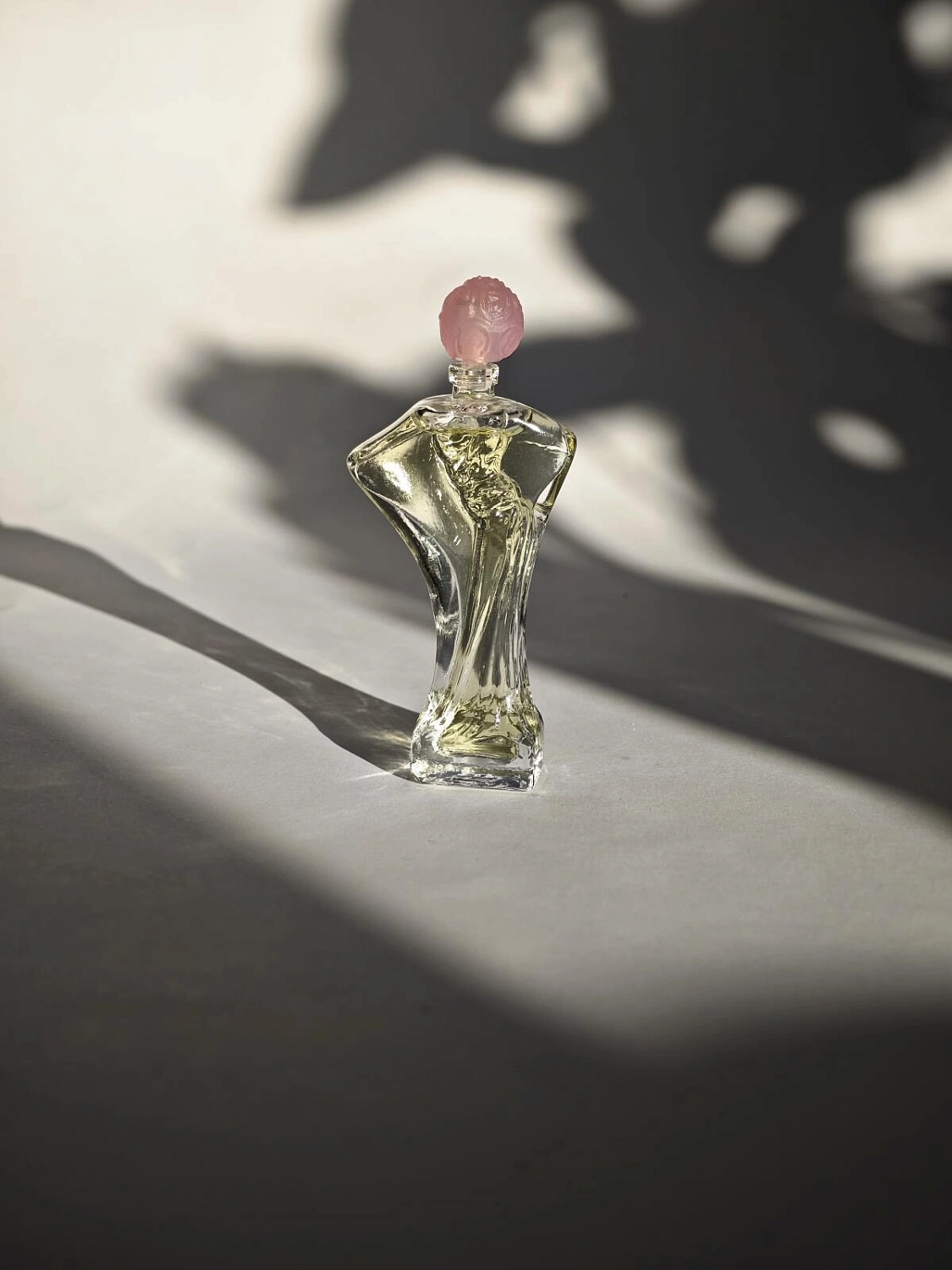 Salvador Dalí Daliflor