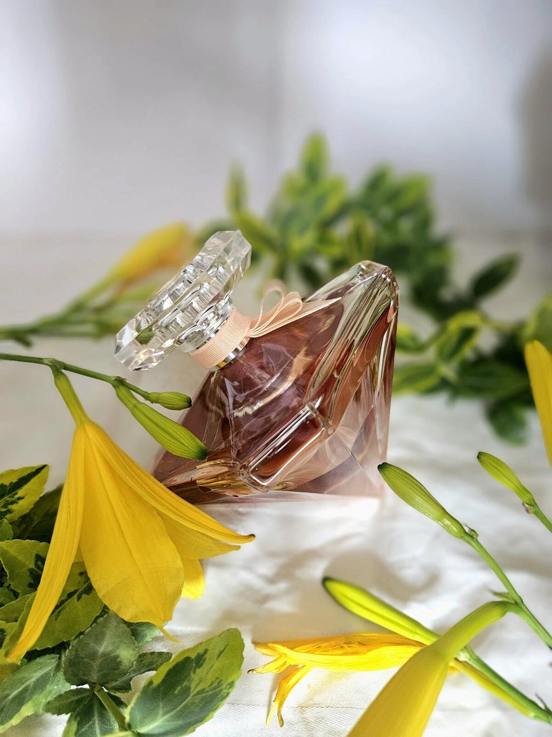 Lancôme La Nuit Tresor Nude