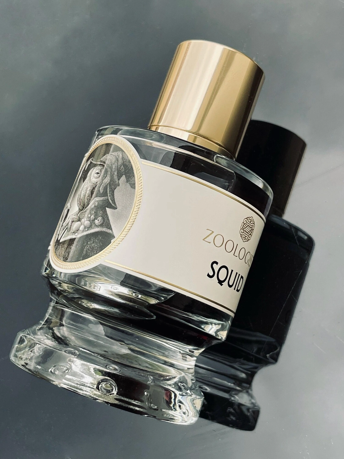 Zoologist Perfumes Squid