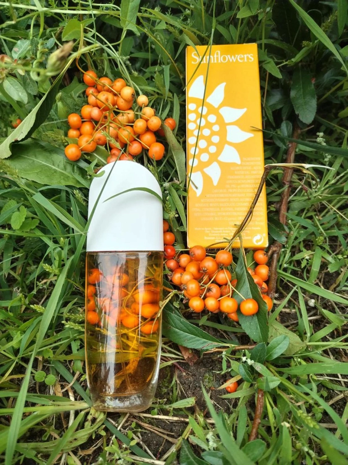 Elizabeth Arden Sunflowers