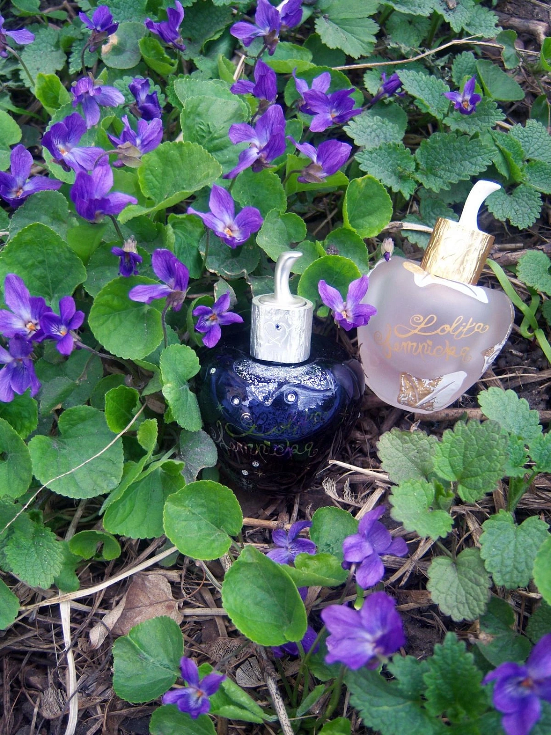 Lolita Lempicka Star Dust Midnight Fragrance