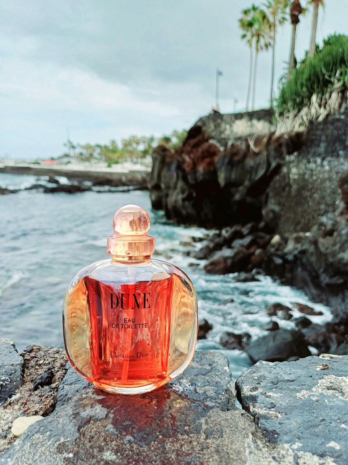 Christian Dior Dune