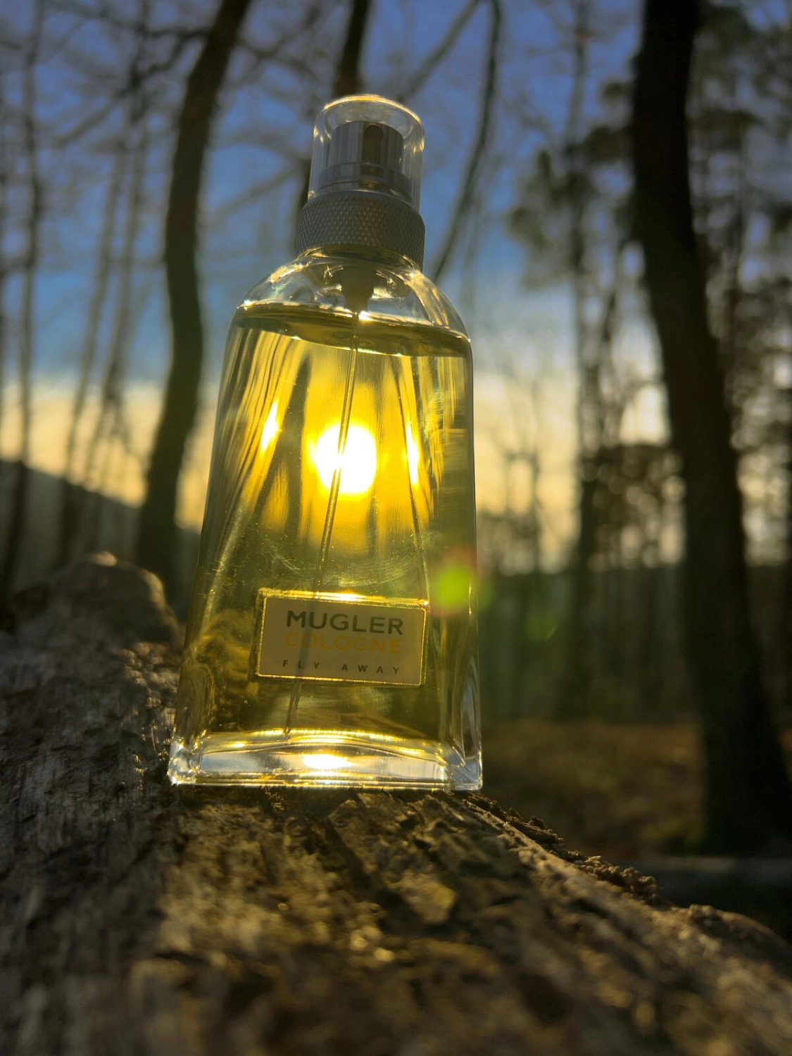Mugler Cologne Fly Away
