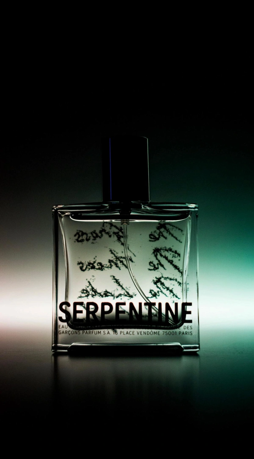 Comme des Garçons Serpentine