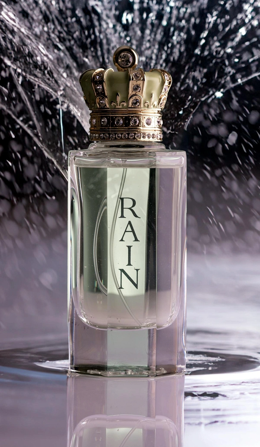 Royal Crown Rain
