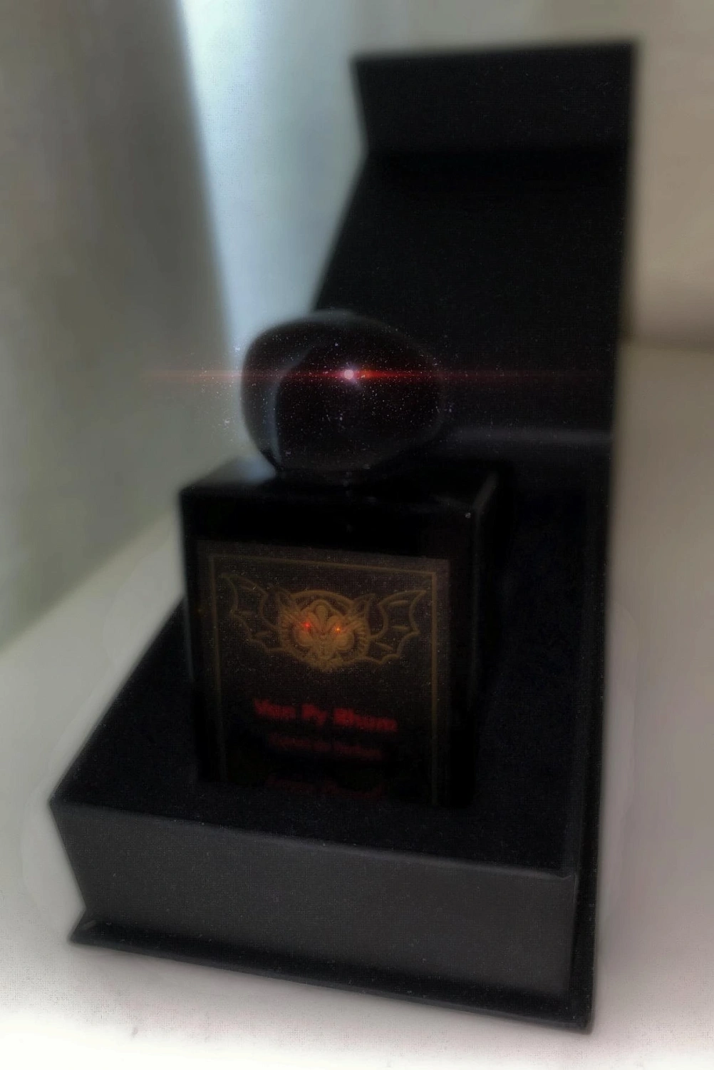 Lorenzo Pazzaglia Van Py Rhum