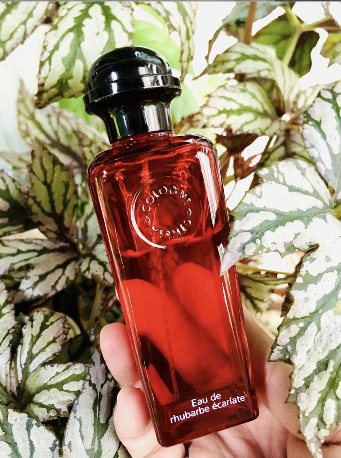 Hermès Eau de Rhubarbe Ecarlate