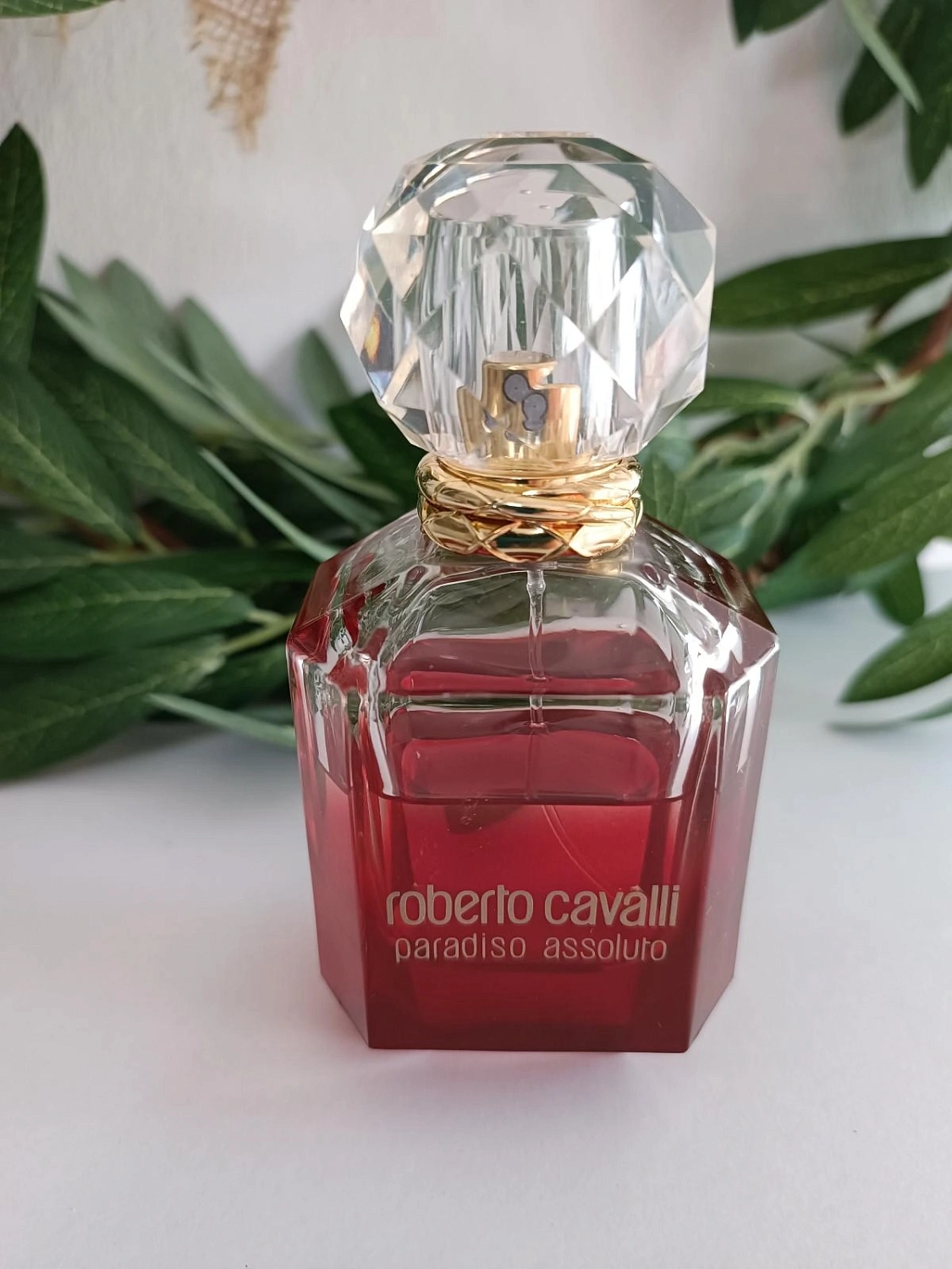 Roberto Cavalli Paradiso Assoluto