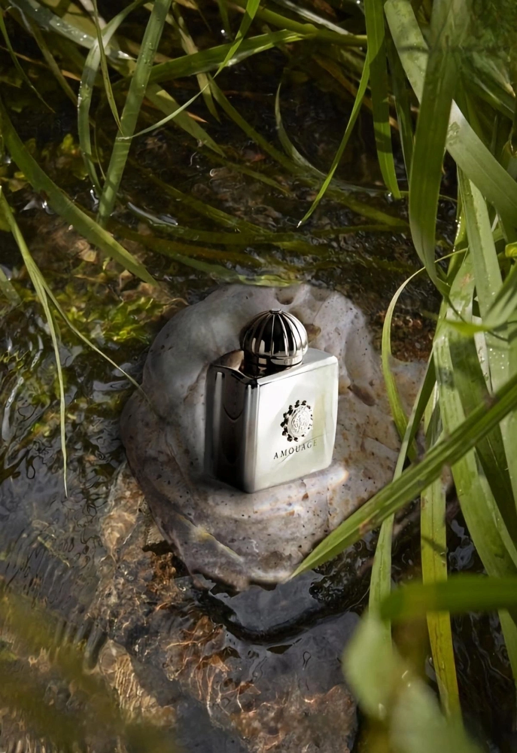 Amouage Reflection Woman