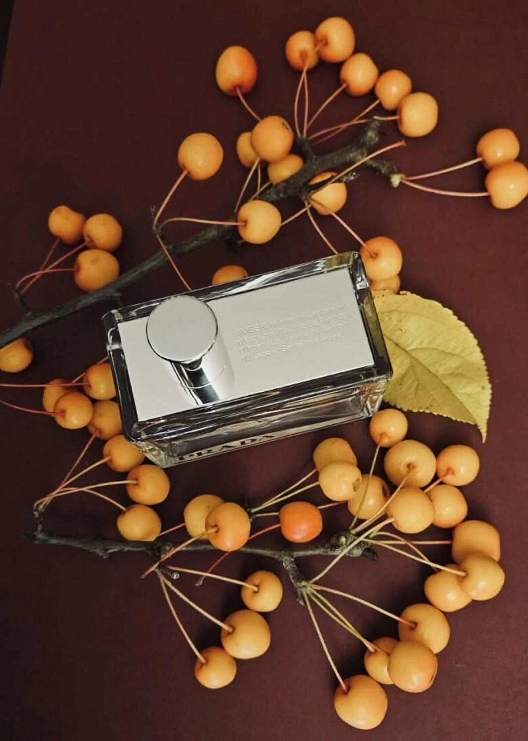Prada Amber