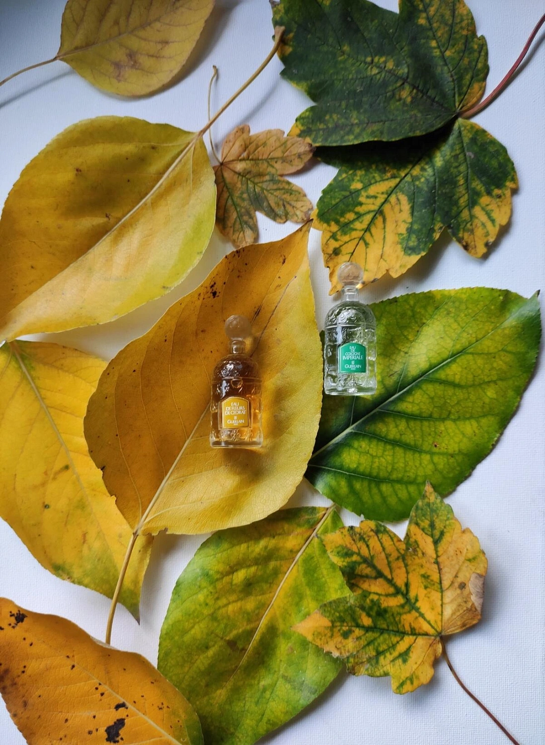 Guerlain Eau de Fleurs de Cedrat