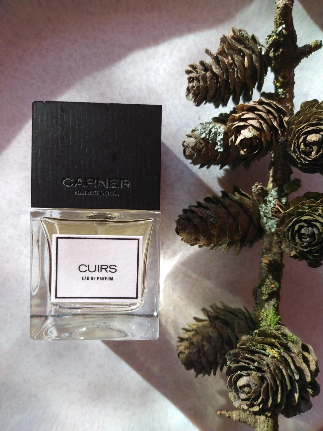 Carner Barcelona Cuirs