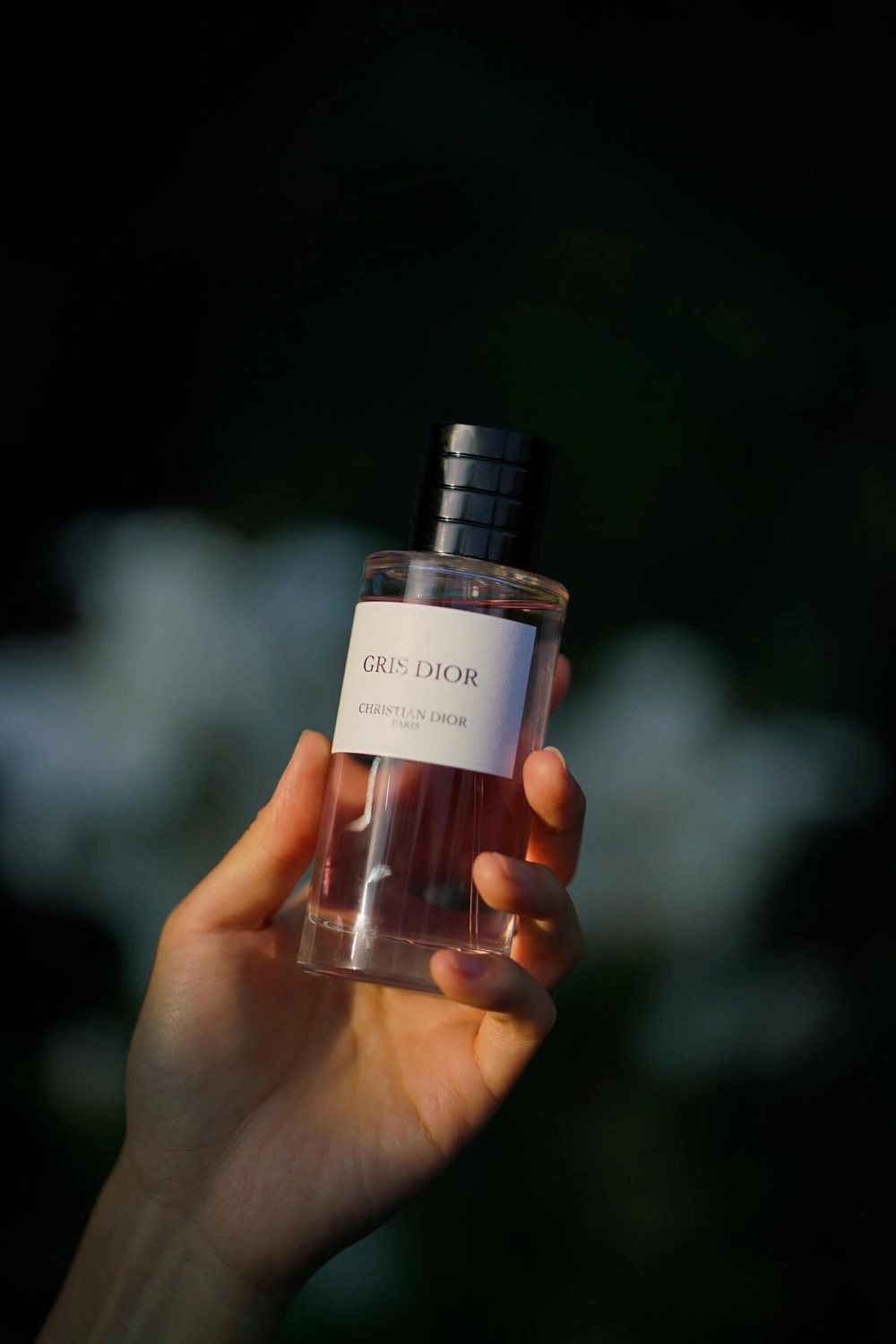 Christian Dior Gris Dior
