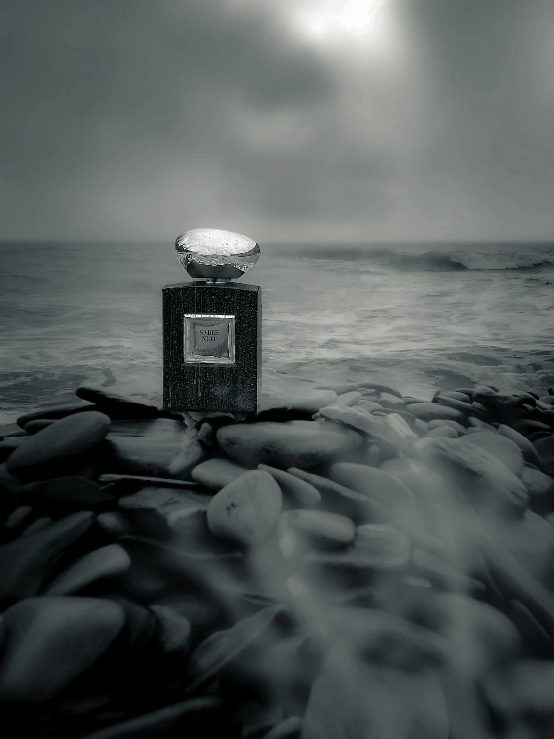 Armani Sable Nuit