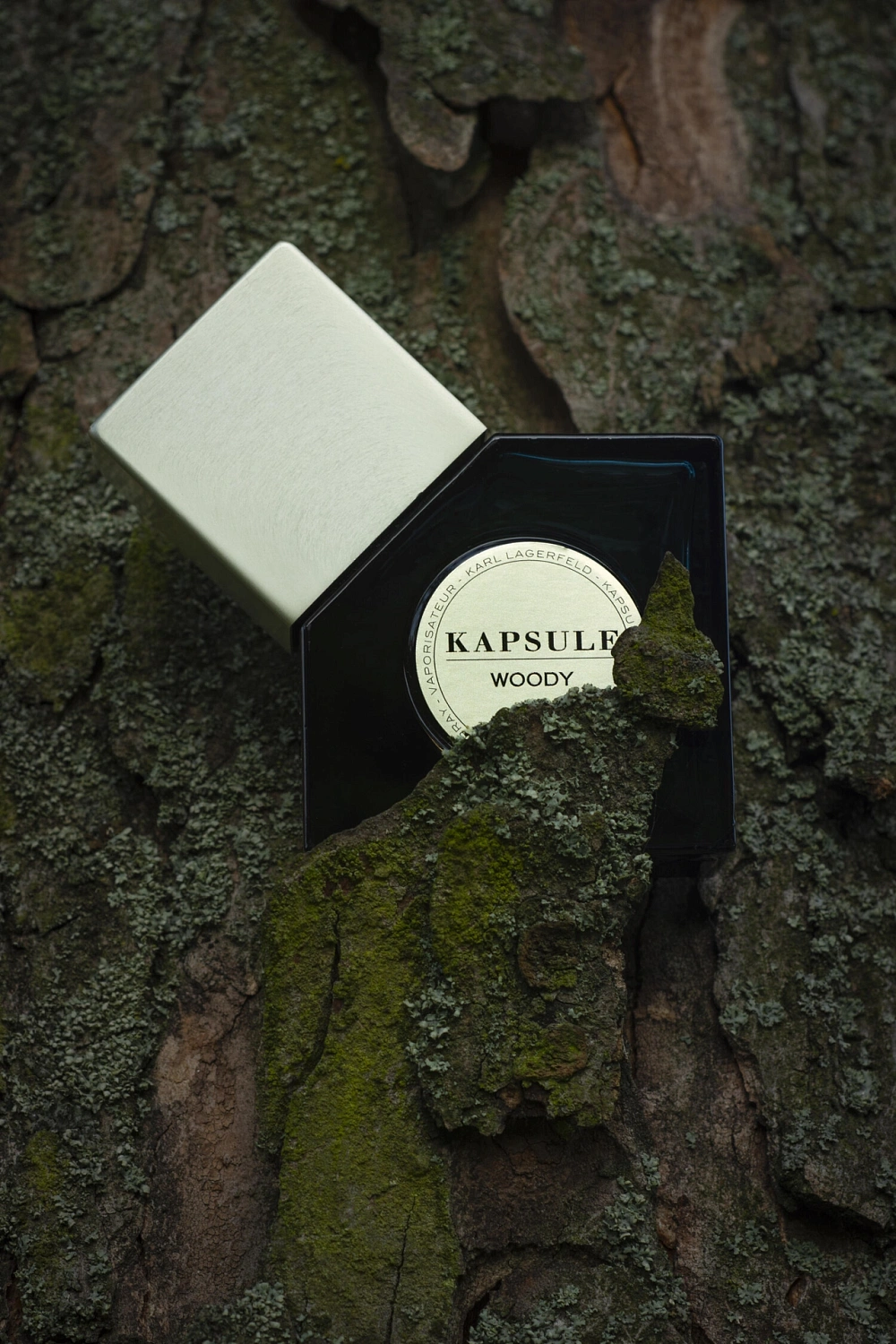Karl Lagerfeld Kapsule Woody