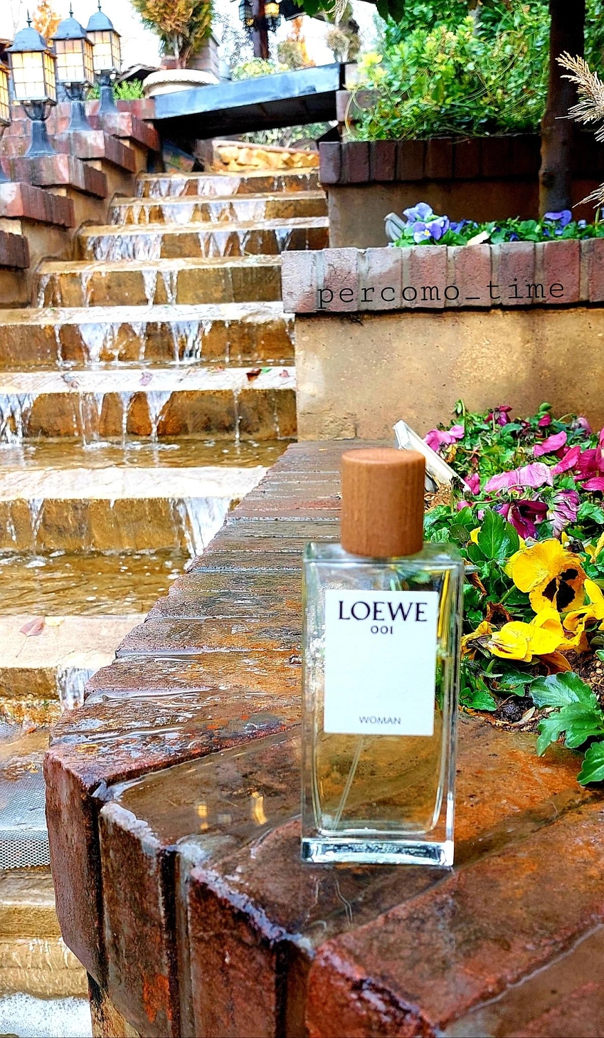 Loewe 001 Woman