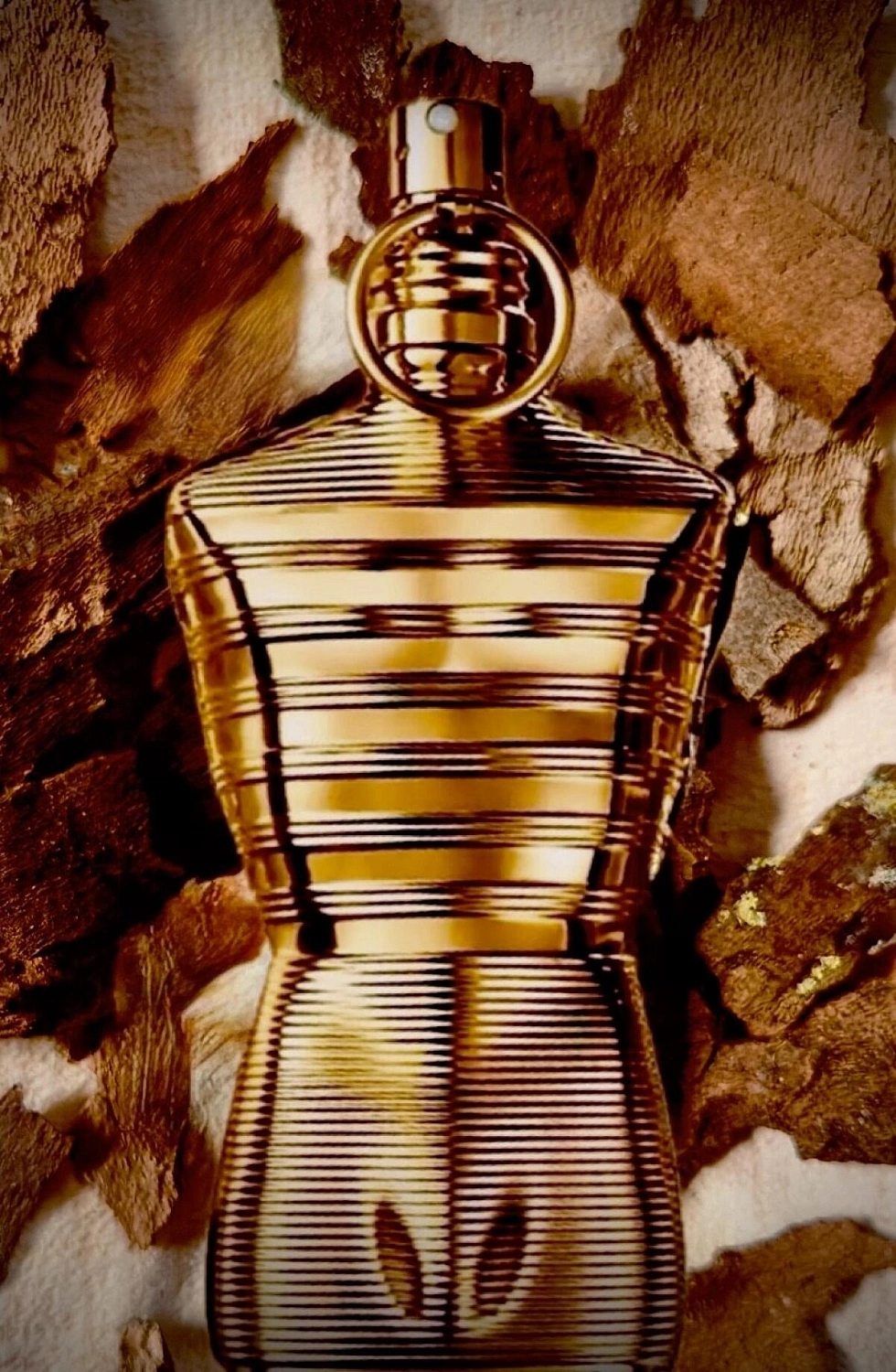 Jean Paul Gaultier Le Male Elixir Absolu