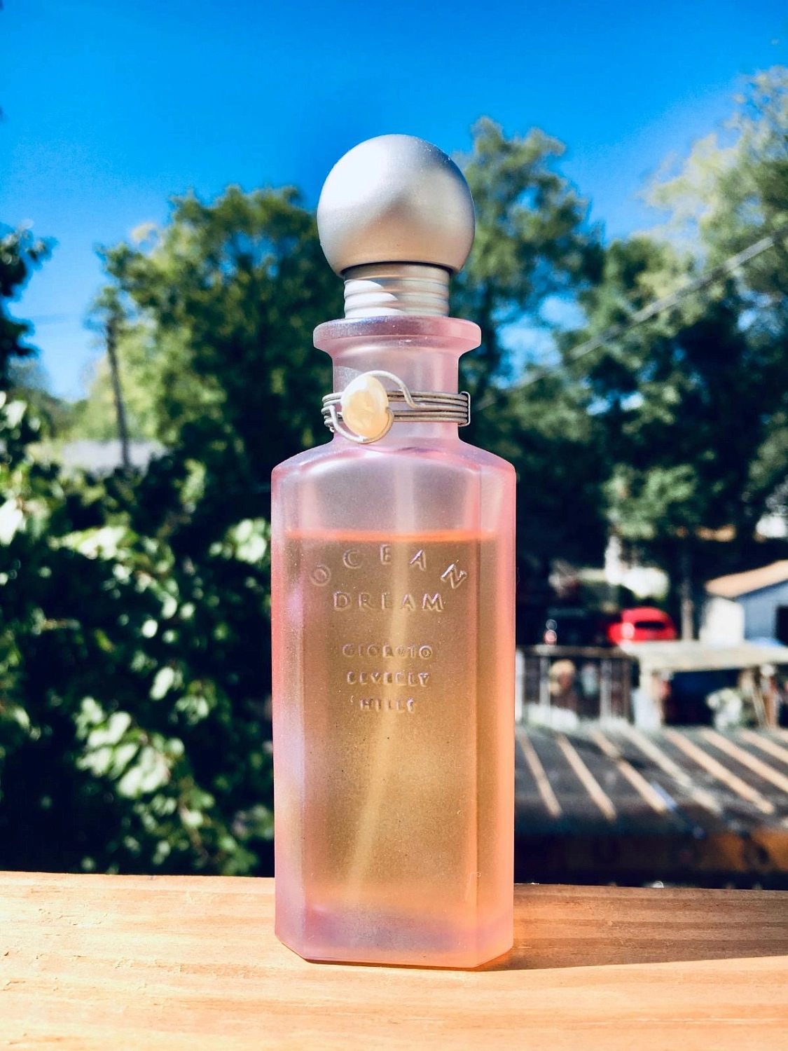 Giorgio Beverly Hills Ocean Dream
