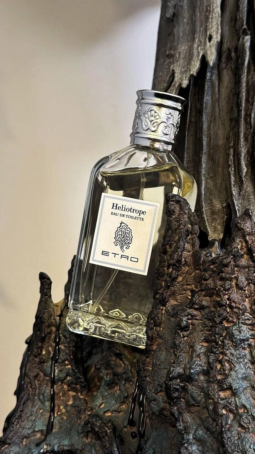 Etro Heliotrope