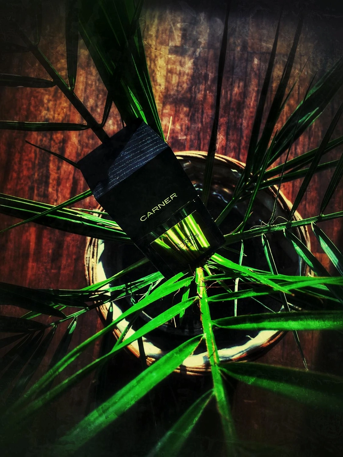 Carner Barcelona Black Calamus