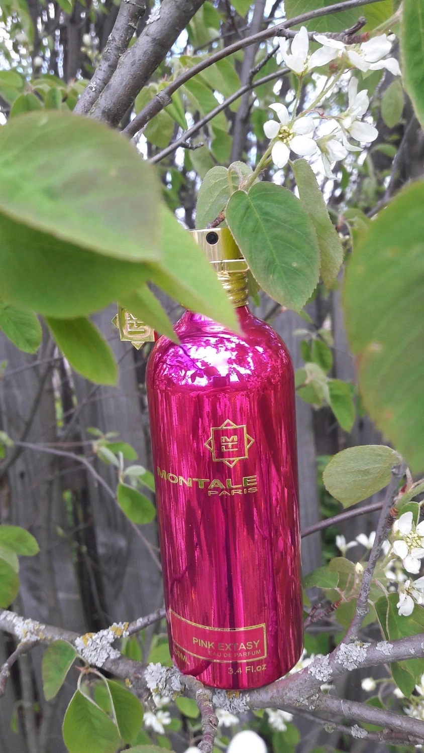 Montale Pink Extasy