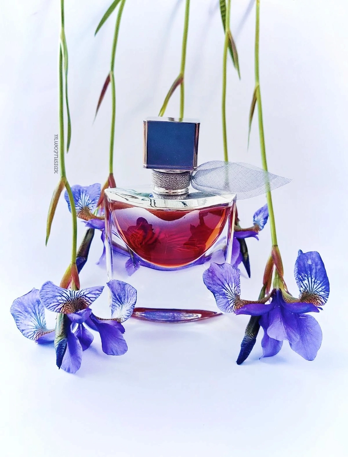 Lancôme La Vie Est Belle L'Absolu