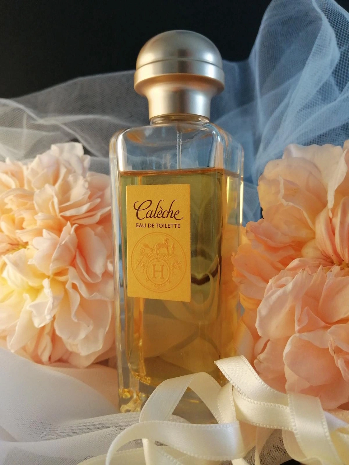 Hermès Caleche