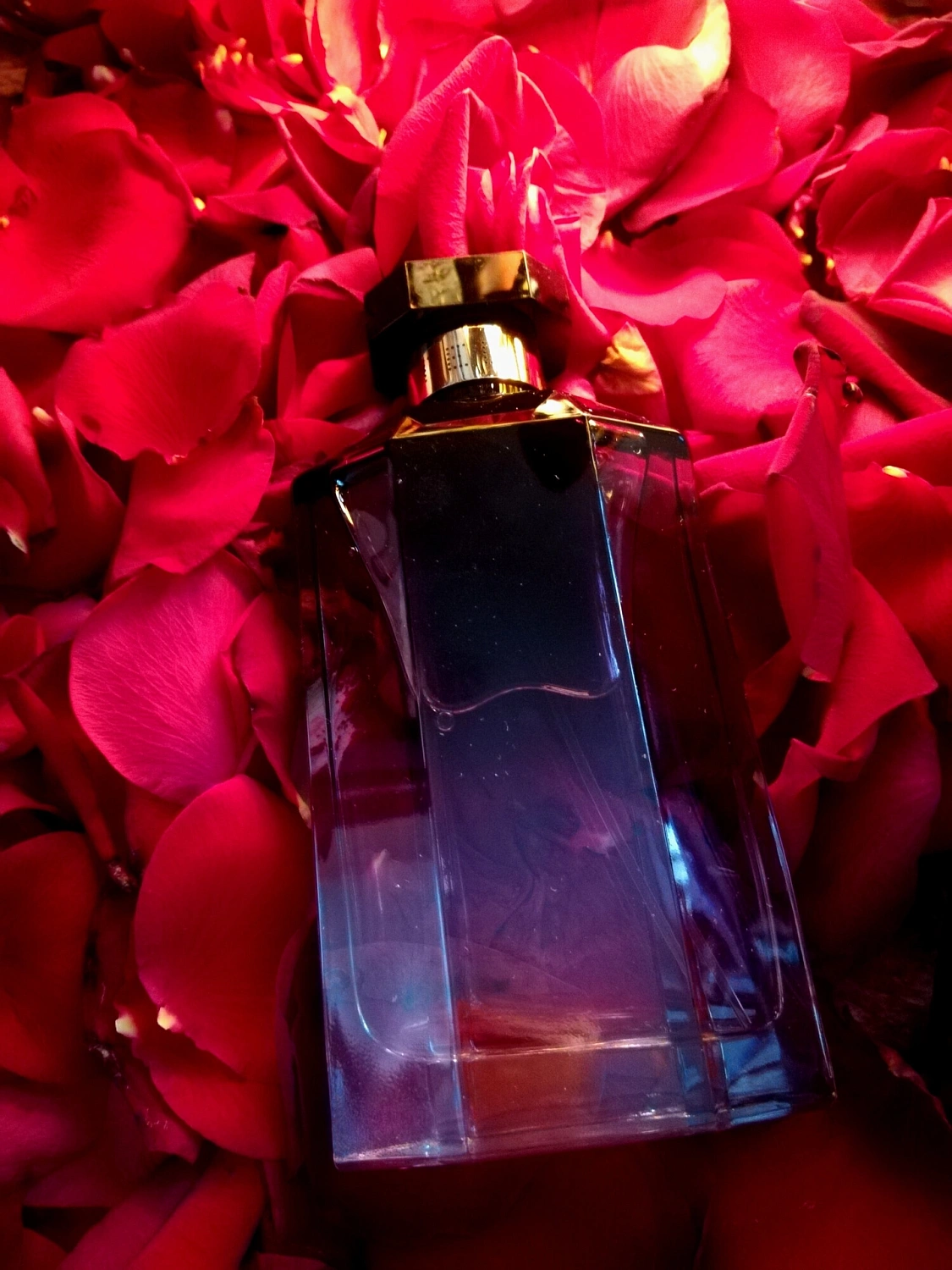 Stella McCartney Stella