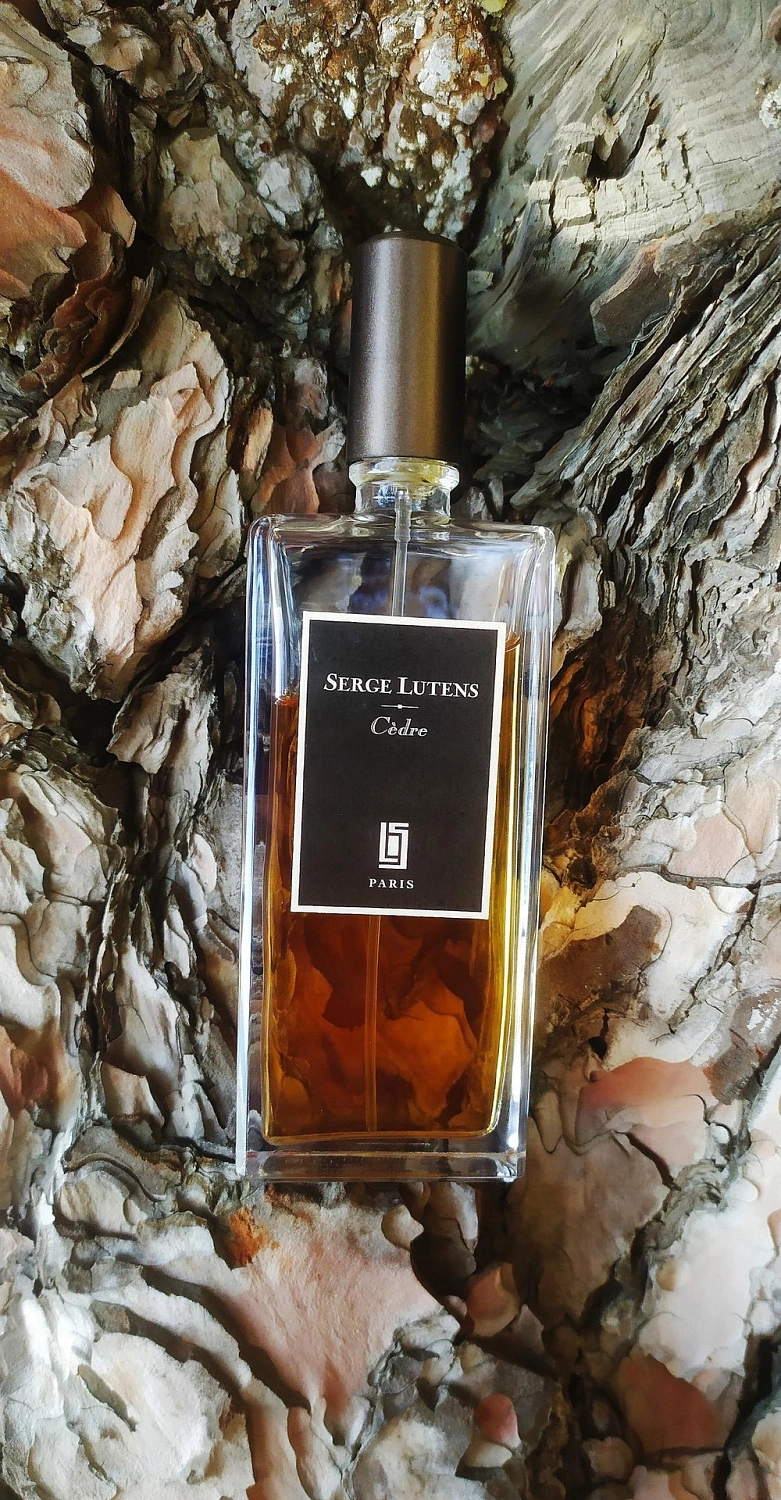 Serge Lutens Cedre