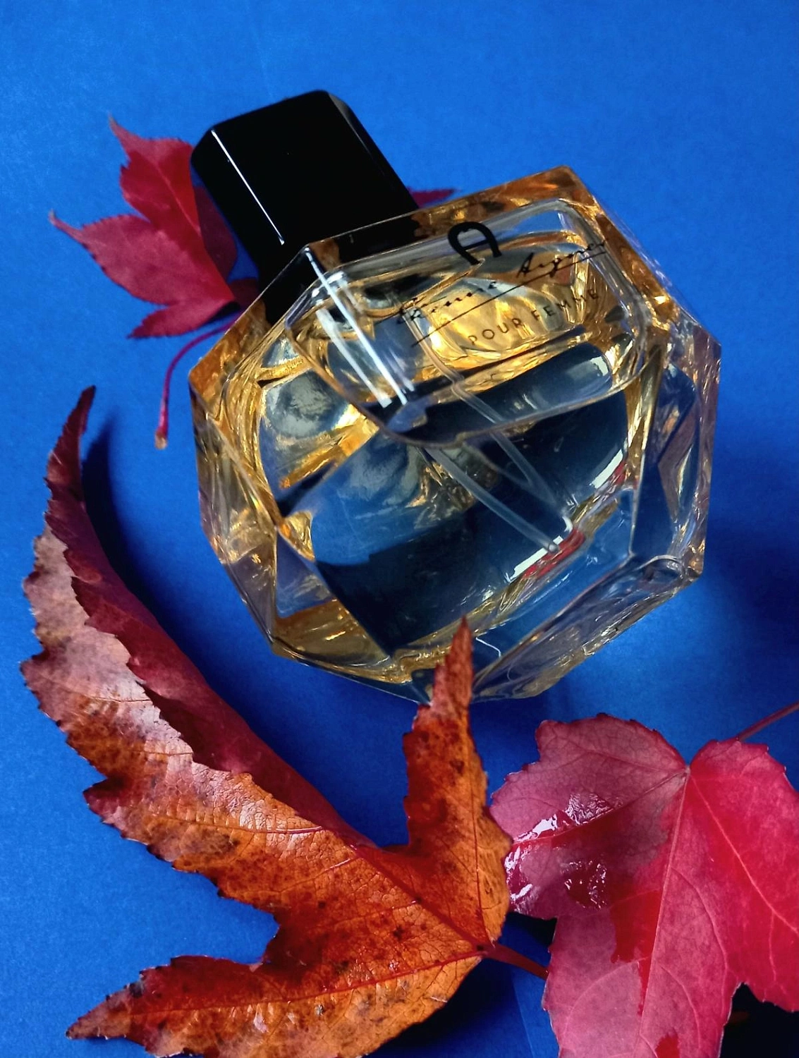 Etienne Aigner Pour Femme