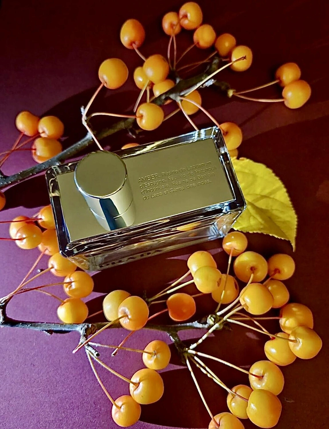 Prada Amber
