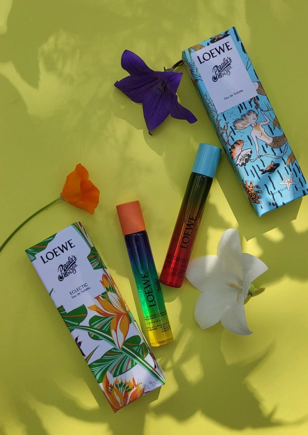 Loewe Paula's Ibiza