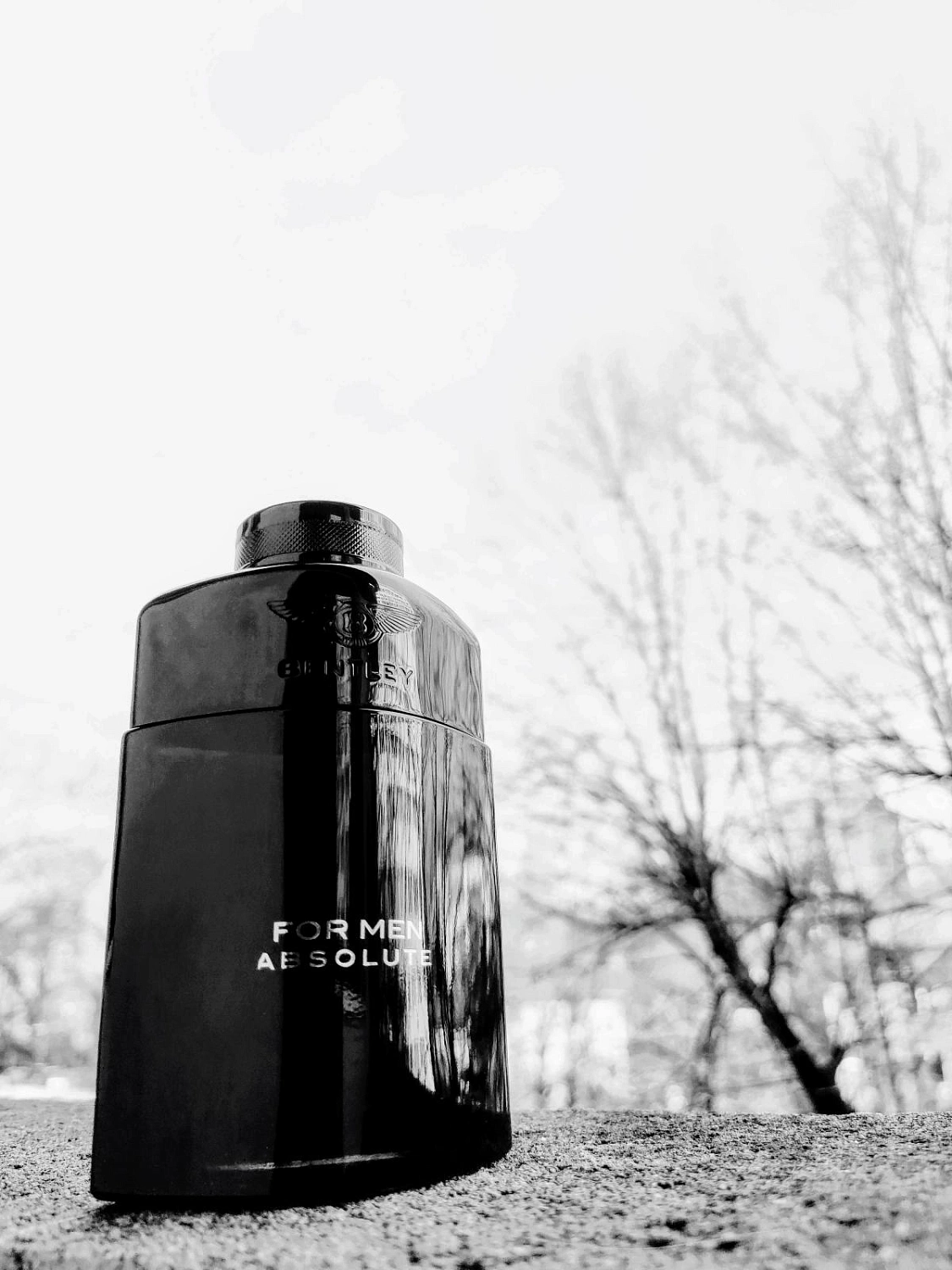 Bentley For Men Absolute
