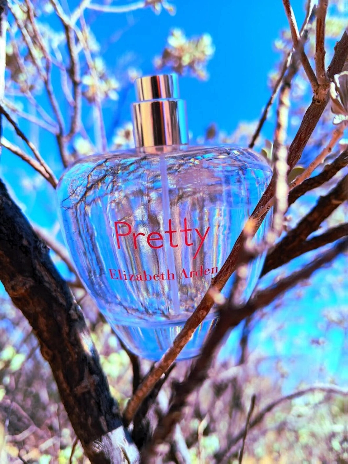 Elizabeth Arden Pretty