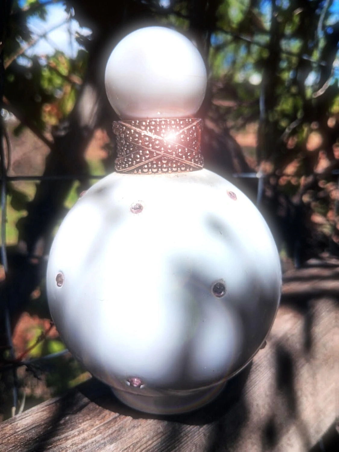 Britney Spears Fantasy Intimate Edition