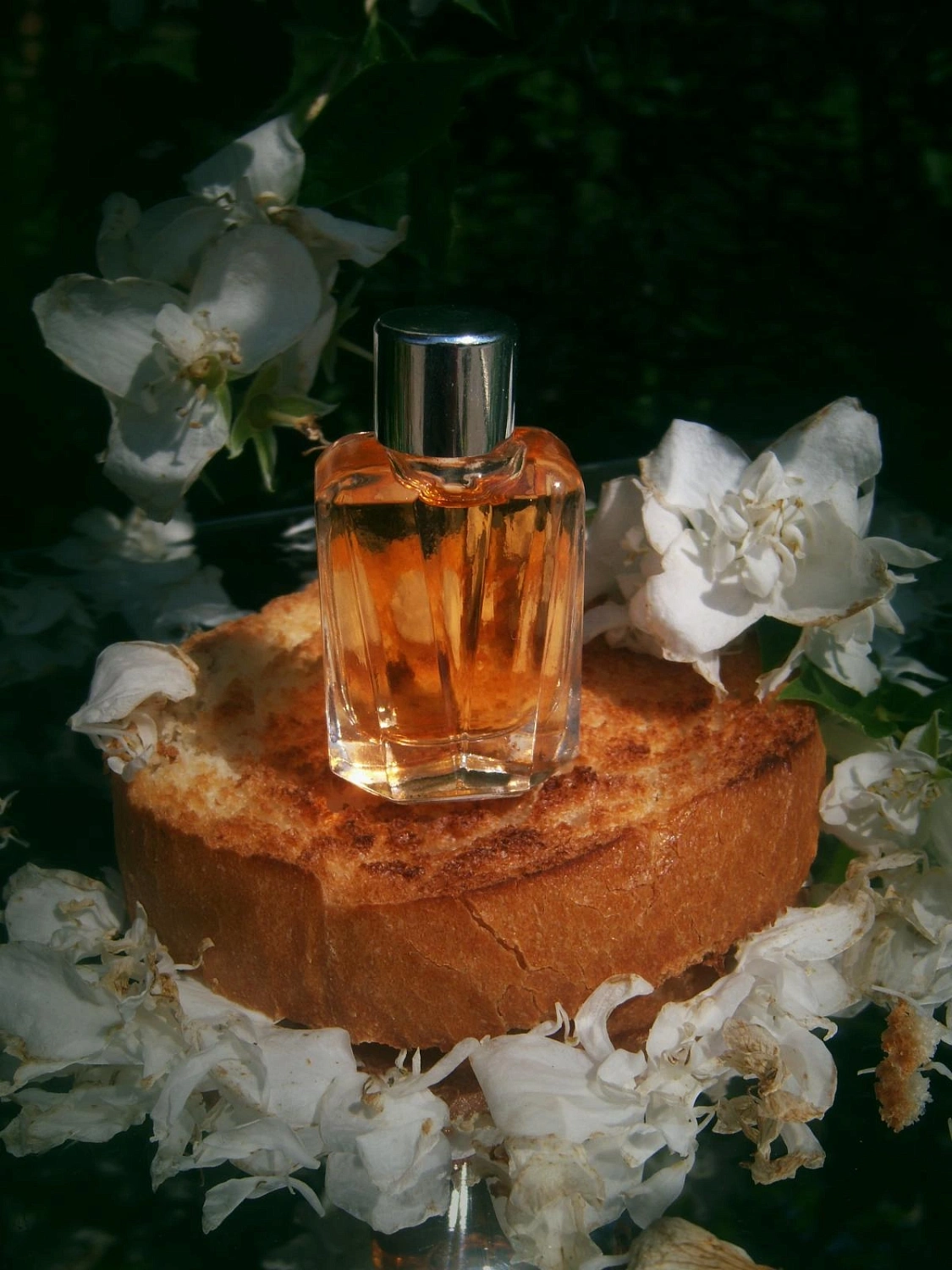 Mugler Miroir Des Envies