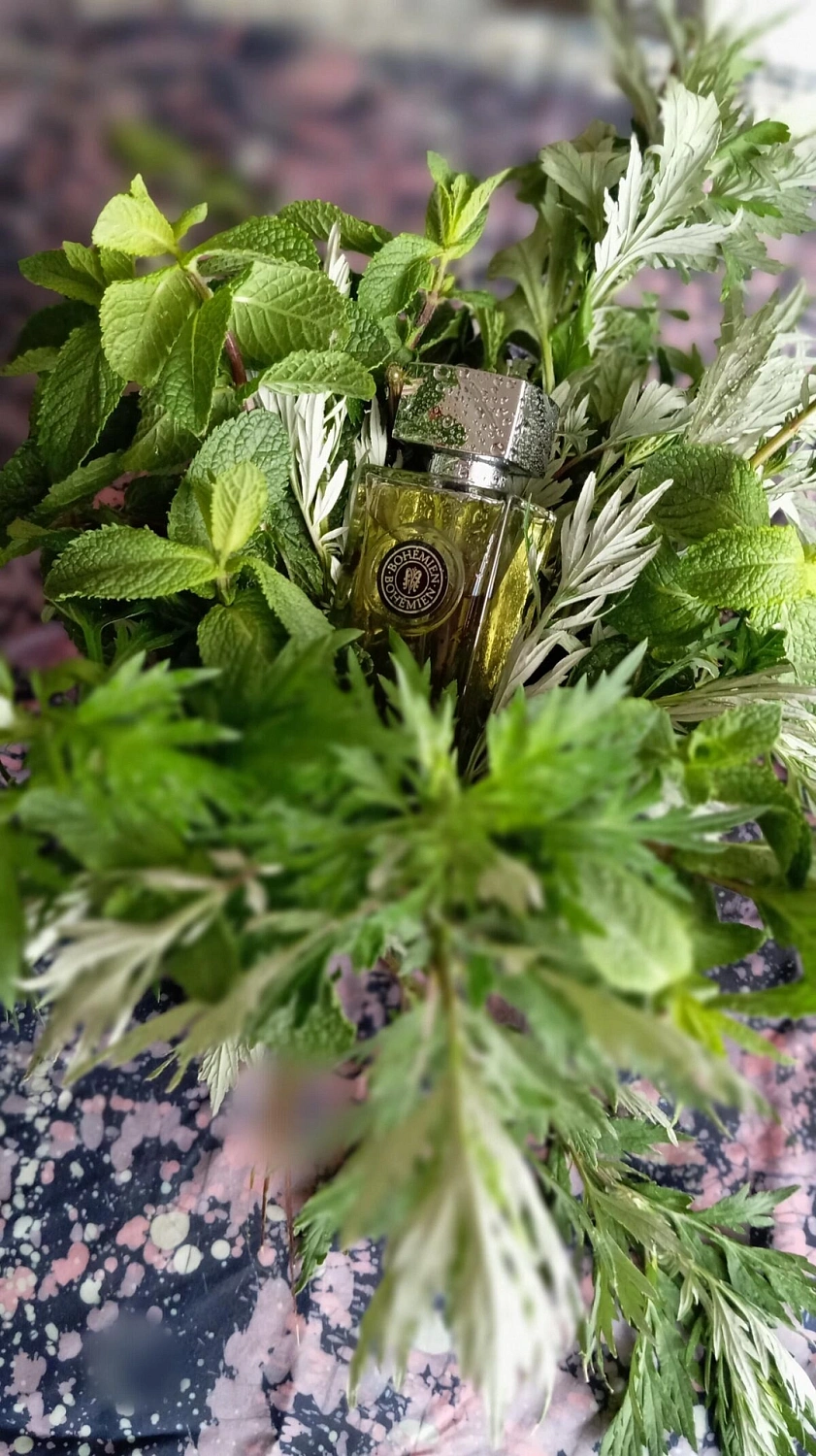 Arte Profumi Bohemien