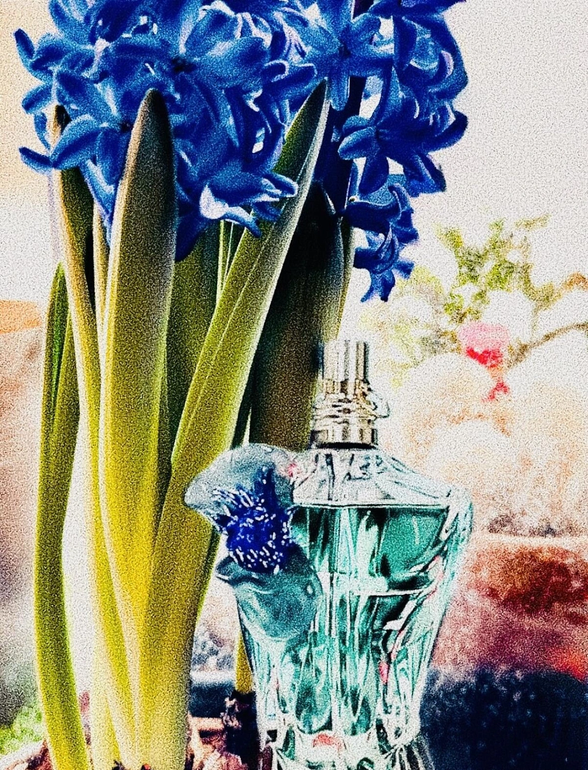 Jean Paul Gaultier Le Beau Flower Edition