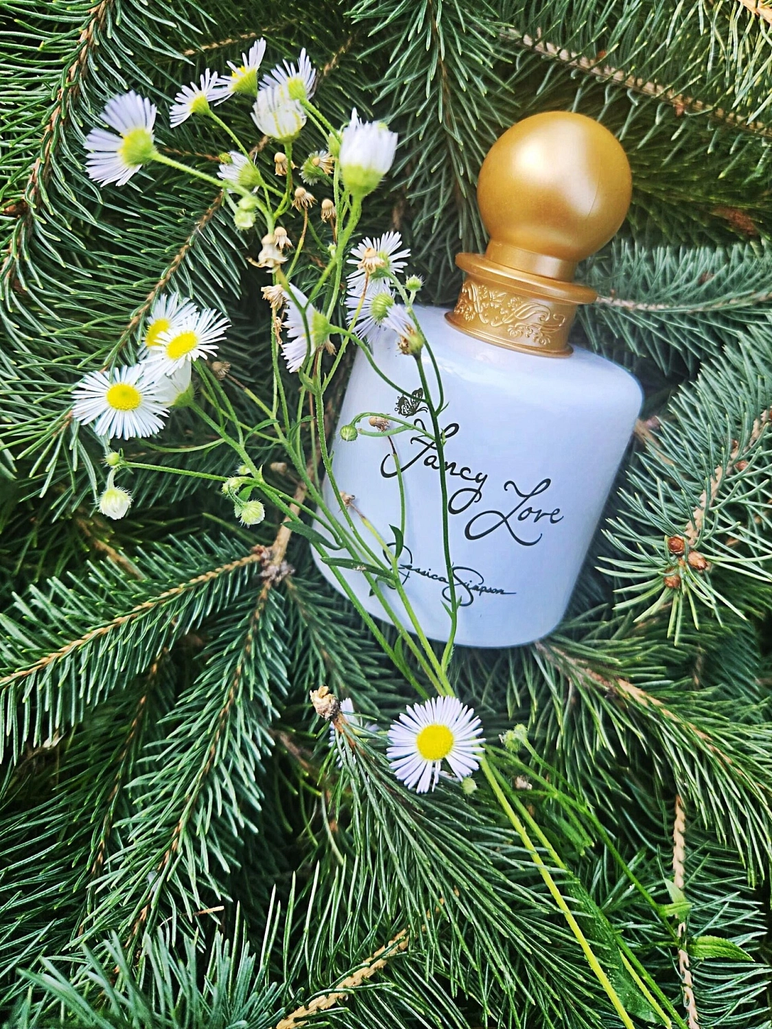 Jessica Simpson Fancy Love