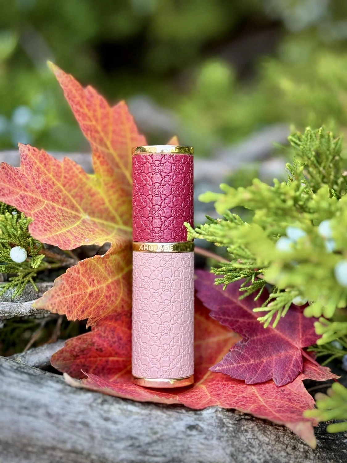 Amouage Guidance 46